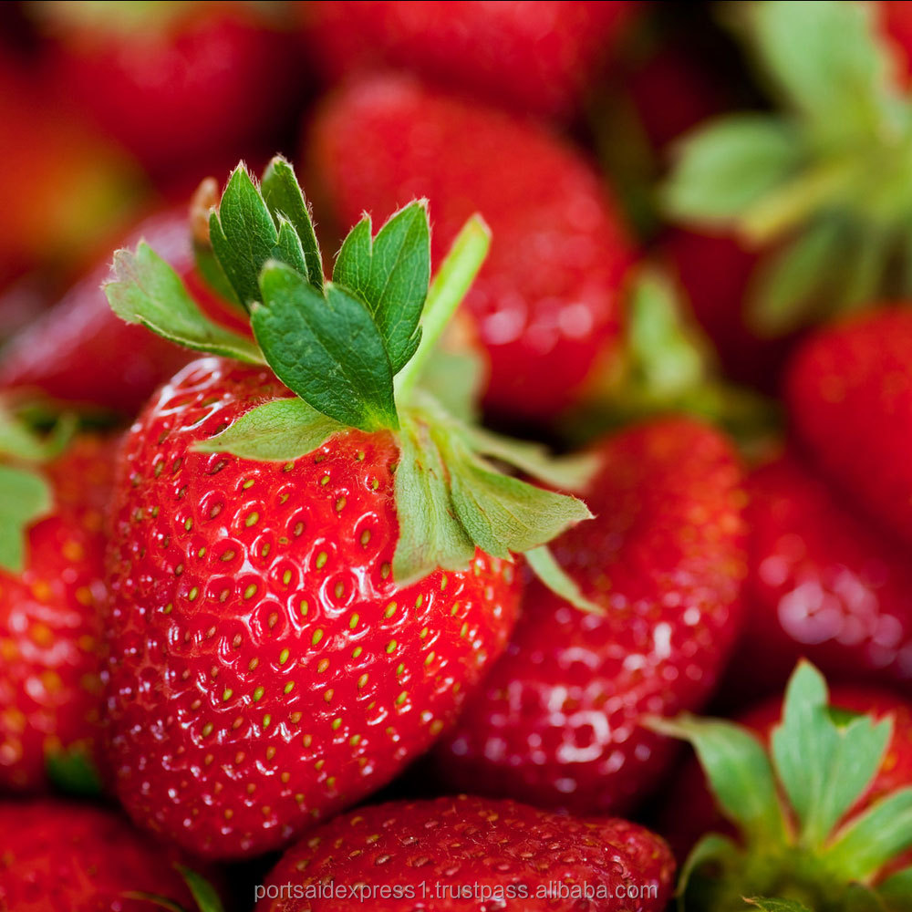 Fresh Sweet-Tasting Strawberries for Mexico Premium Berries