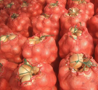 Organic Fresh Red Onion