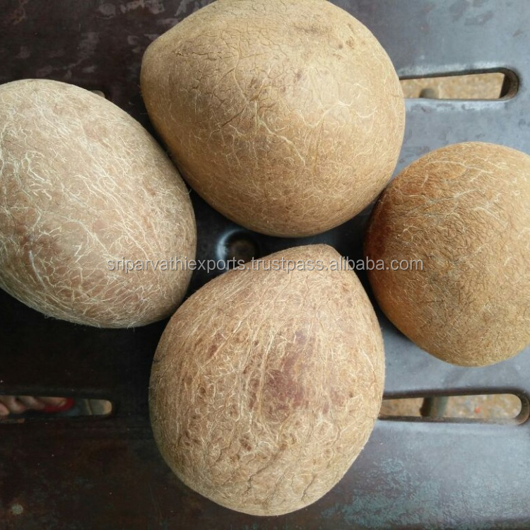 Indian Coconut Ball Copra