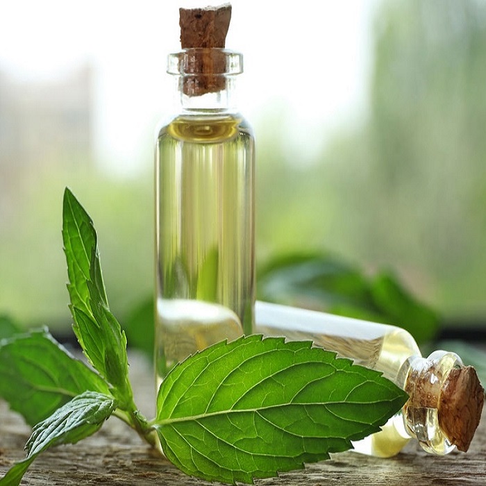 Peppermint Oil in Customized Packing