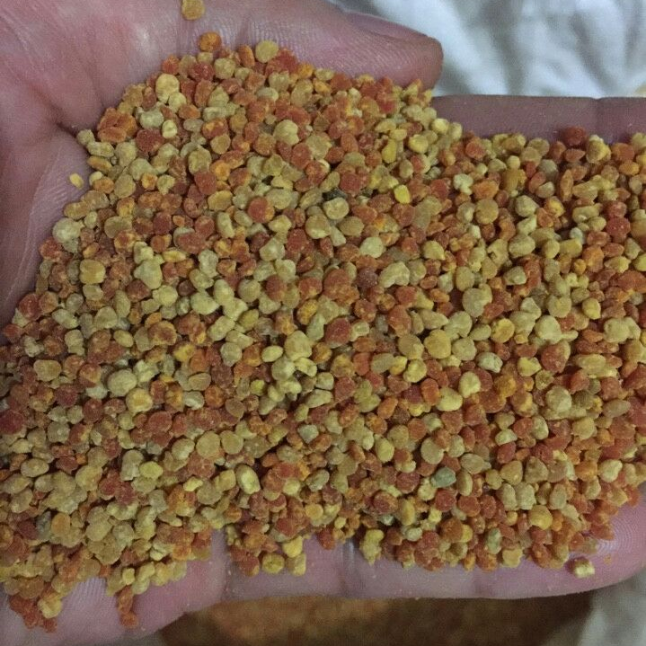 WHOLESALES BEE POLLEN COMPETITIVE PRICE / WHATSAPP +84 845 639 639