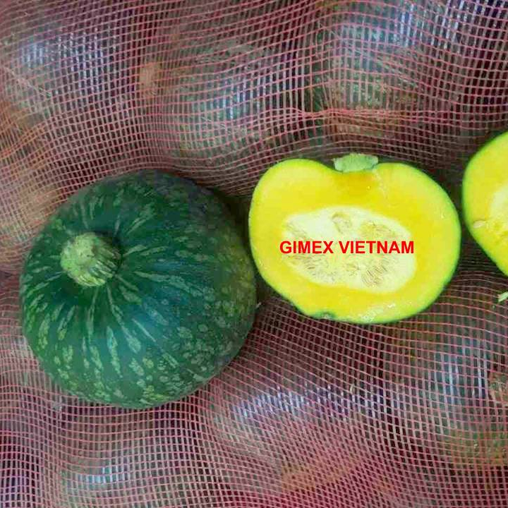 Japan Fresh Pumpkin