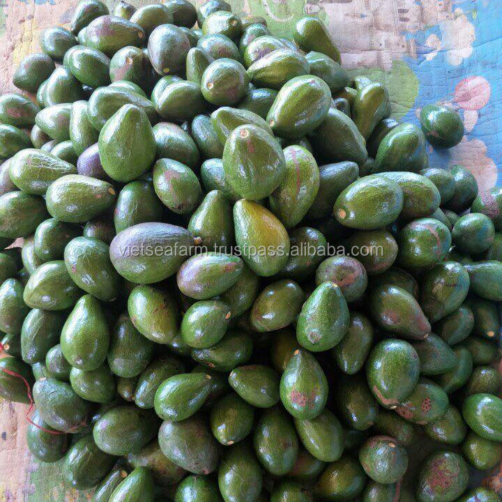 Avocado fruit with highest quality