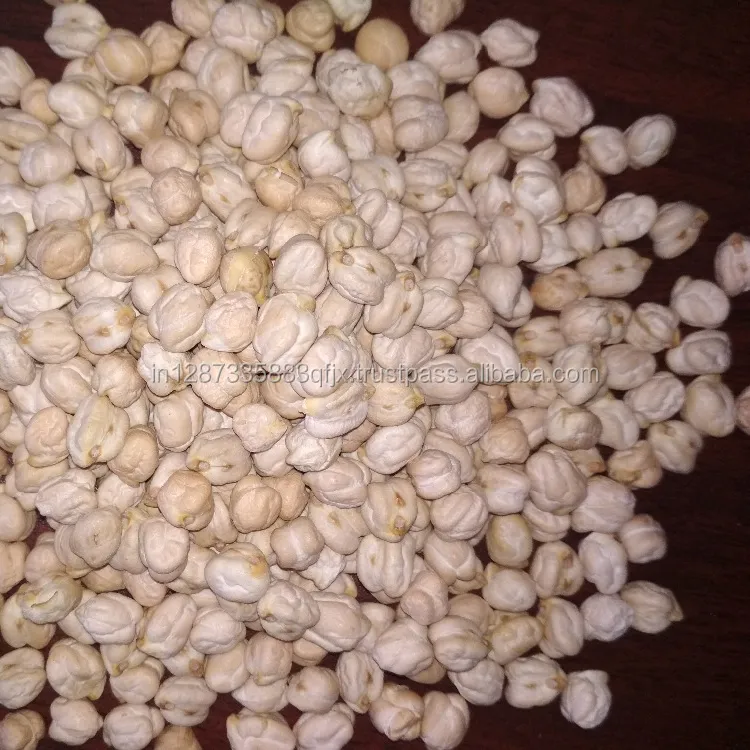 Premium Quality White Chickpeas / Kabuli Channa White peas