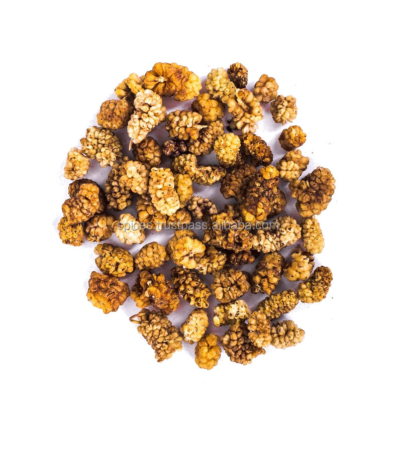 Белый Тутовый фрукт Morus alba