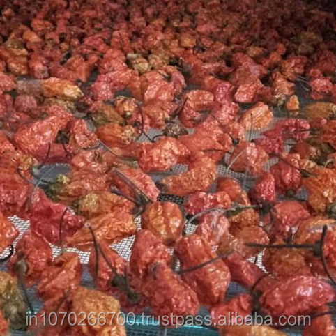 Высушенный дым BHUT JOLOKIA