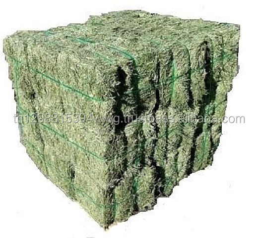 Хорошее качество, сеновые тюки Alfalfa. Кубики Alfalfa, гранулы Alfalfa, корм для животных.