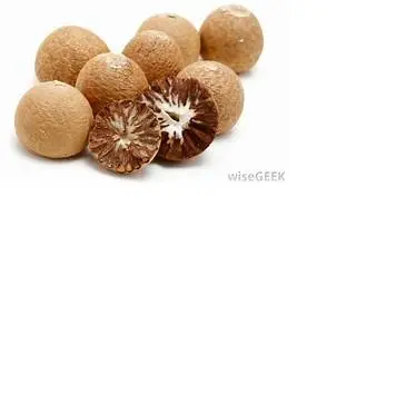 Best quality Dried Whole betel nut With best quantity  Ms Holiday