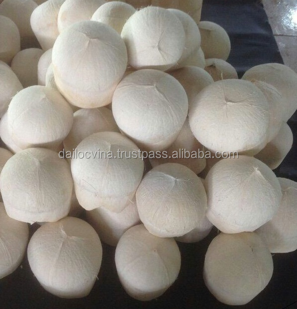 HIGH QUALITY FRESH COCONUT YOUNG +DELICIOUS (Skype:Vivian48392)