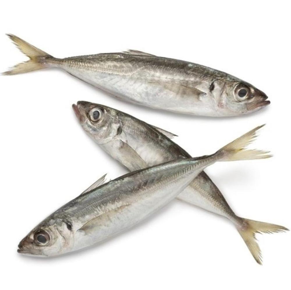 Морепродукты без соли рыба замороженная лошадь скумбрия