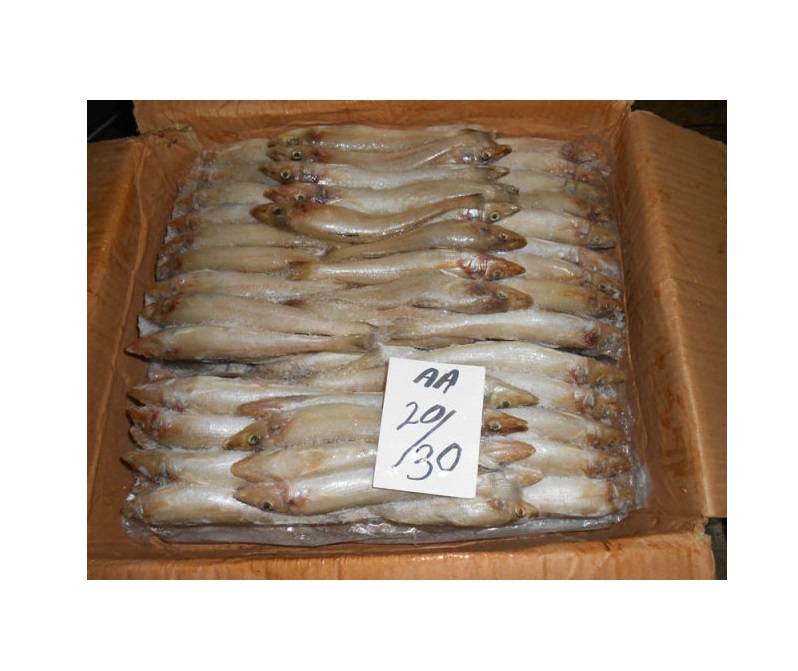 Whole round frozen Silver Sillago (Lady Fish)
