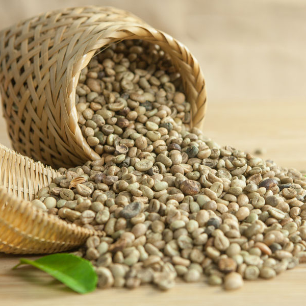 Зеленые кофейные зерна Robusta по лучшей цене от производителя, 0084971054925