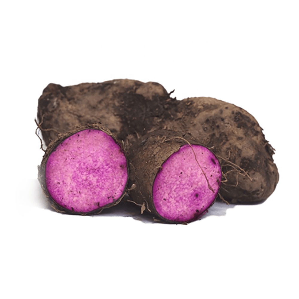 IQF FROZEN PURPLE YAM  FROM VIETNAM