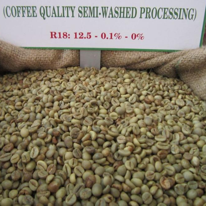 Robusta green coffee beans from Phalco Vietnam 0084971054925