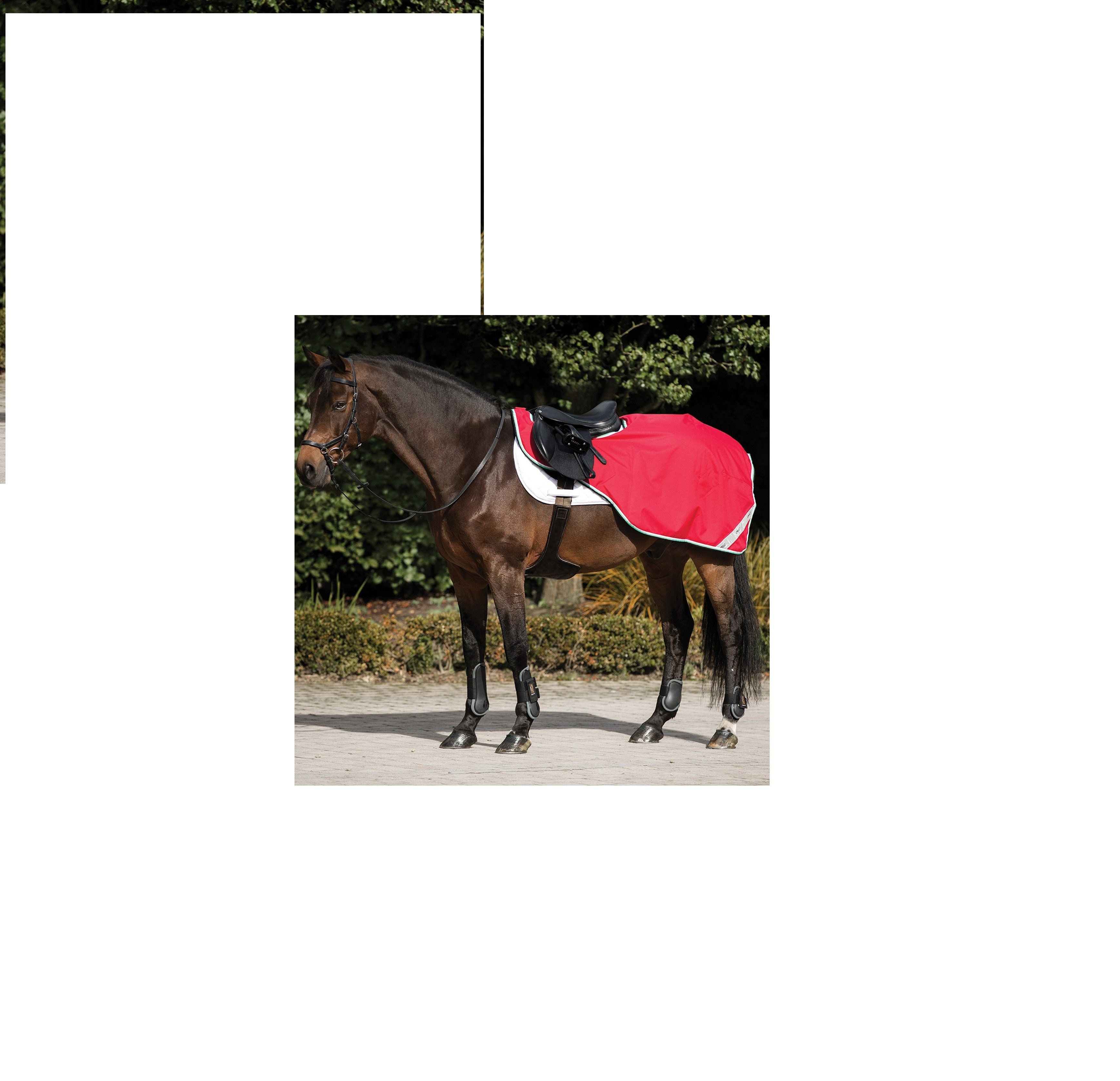 HORSE Exercise Rug Quarter Sheet SOFT SHELL Waterproof Windproof Fleece Lined