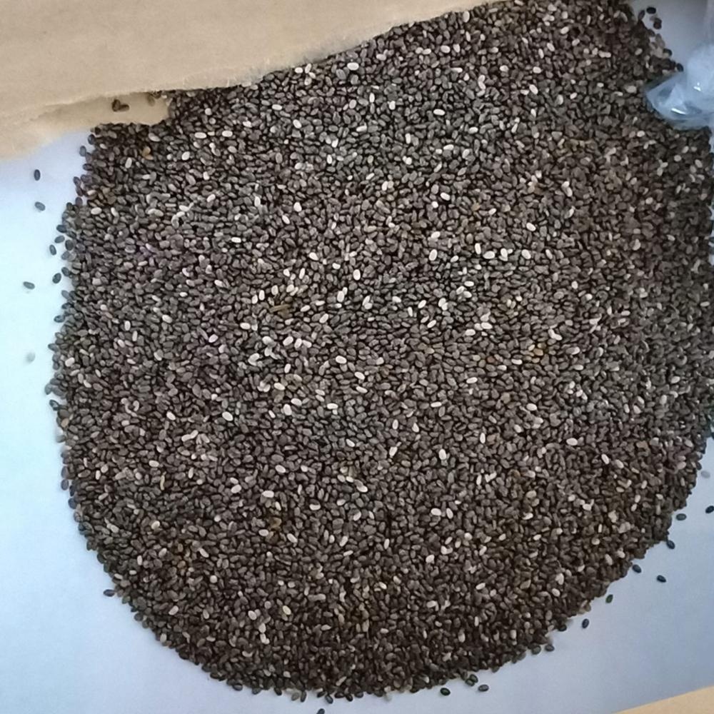 Chia Seeds