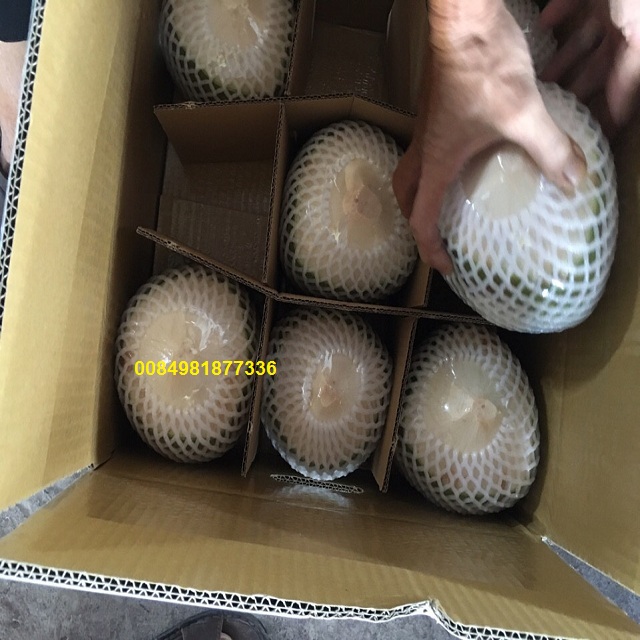 Молодой кокос/зеленый кокос