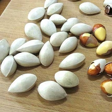 Орехи гинкго, очищенные орехи гинкго, сырые орехи гинкго