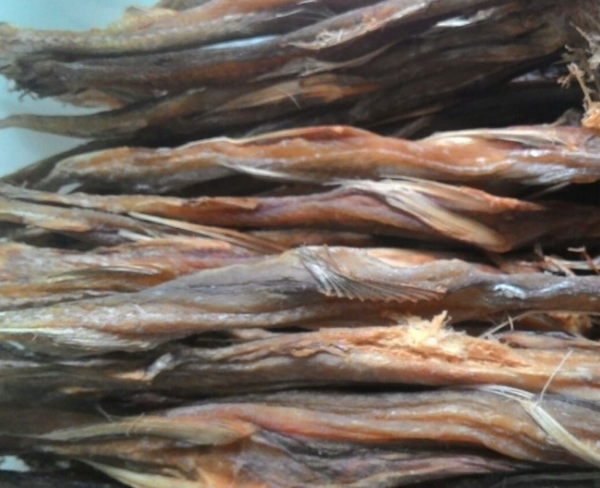 Высушенные Bombay Duck рыбы с разумной ценой