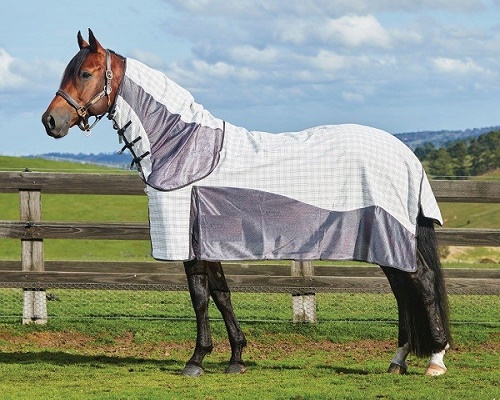Polyester Mesh Combo Horse rug
