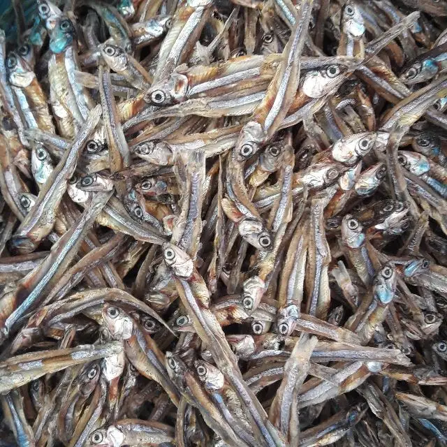 Сушеные энховые рыбы из Вьетнама/MS Нэнси + 84 377 518 917