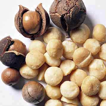 Bulk высокое качество макадамии/орехи макадамии/Жареные Macadamia
