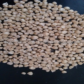 White maize