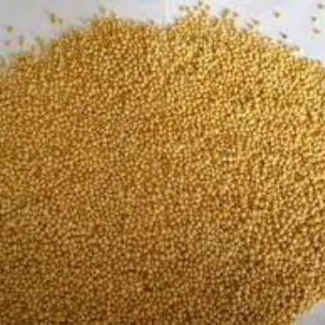 Millet For Sell