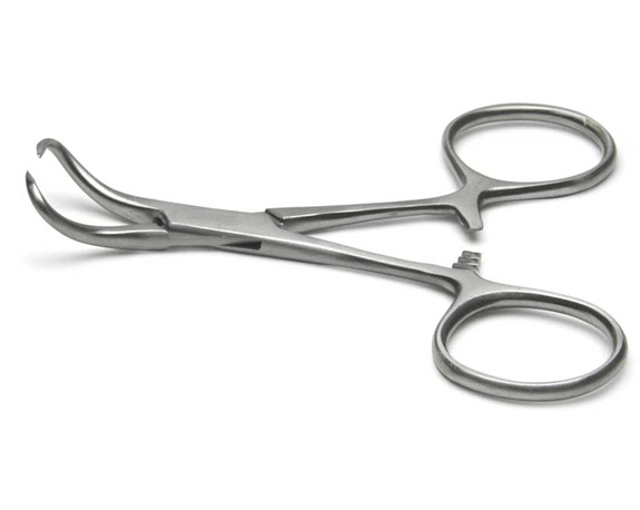 Backhaus Towel Clamp Forceps