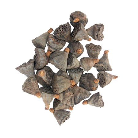 Indian Botanical Potpourri Mini Lotus Dry Natural Raw Plant Material For Decoration