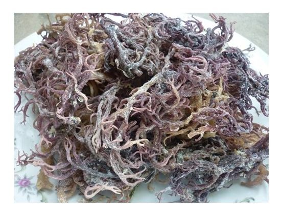 Горячая Распродажа, новый урожай COTTONII/сушеные водоросли COTTONII/праздничные