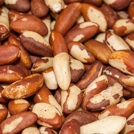 100% Pure Natural Peru High Quality Brazil Nuts Wholesale