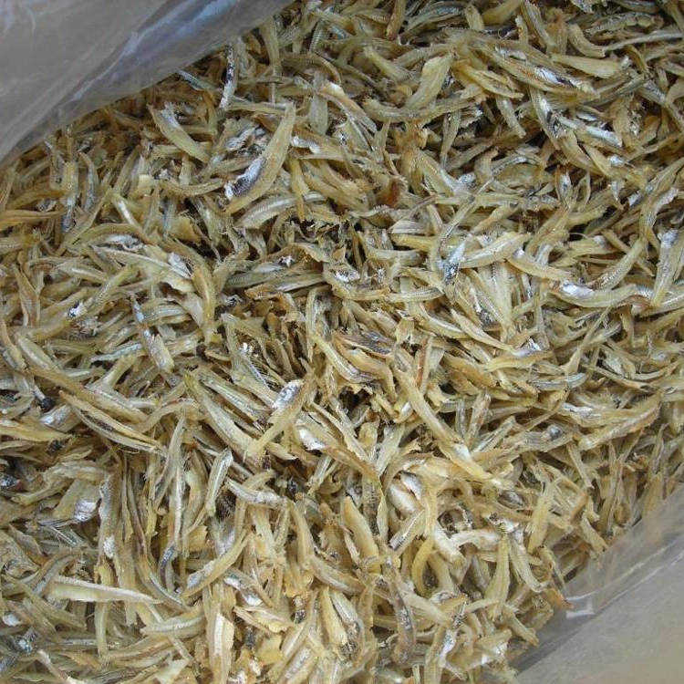 Горячая Распродажа Анчоуса/оптовая продажа сушеных анчоусов высокого качества // Ms.Thi Нгуен + 84 988 872 713