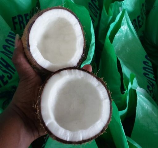 BROWN SEMI HUSKED COCONUT EXPORTER FROM INDIA