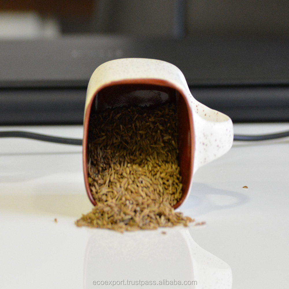 Factory Price Pure Cumin Seeds at Best Price
