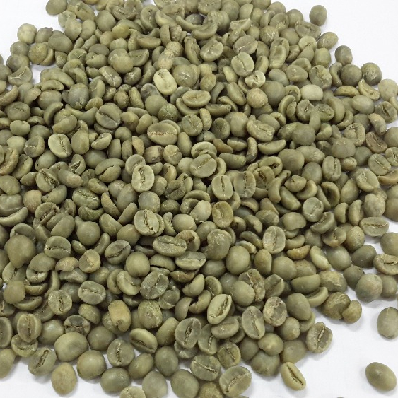 VIETNAM COFFEE BEANS -BEST PRICE (whatsapp (+84).983590908/mobi)