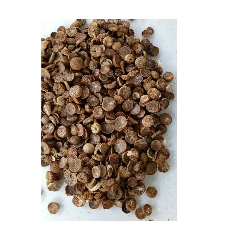 Natural Dried Betel nut/ Dried Areca nut with cheapest price