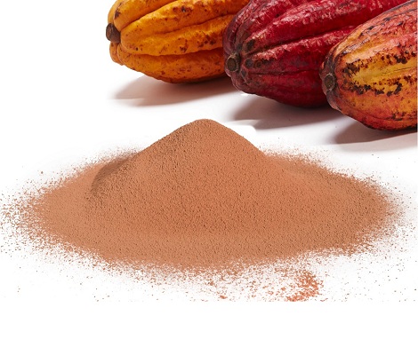 Vitamin Rich Antioxidant Organic Cacao Powder in Bulk Quantity