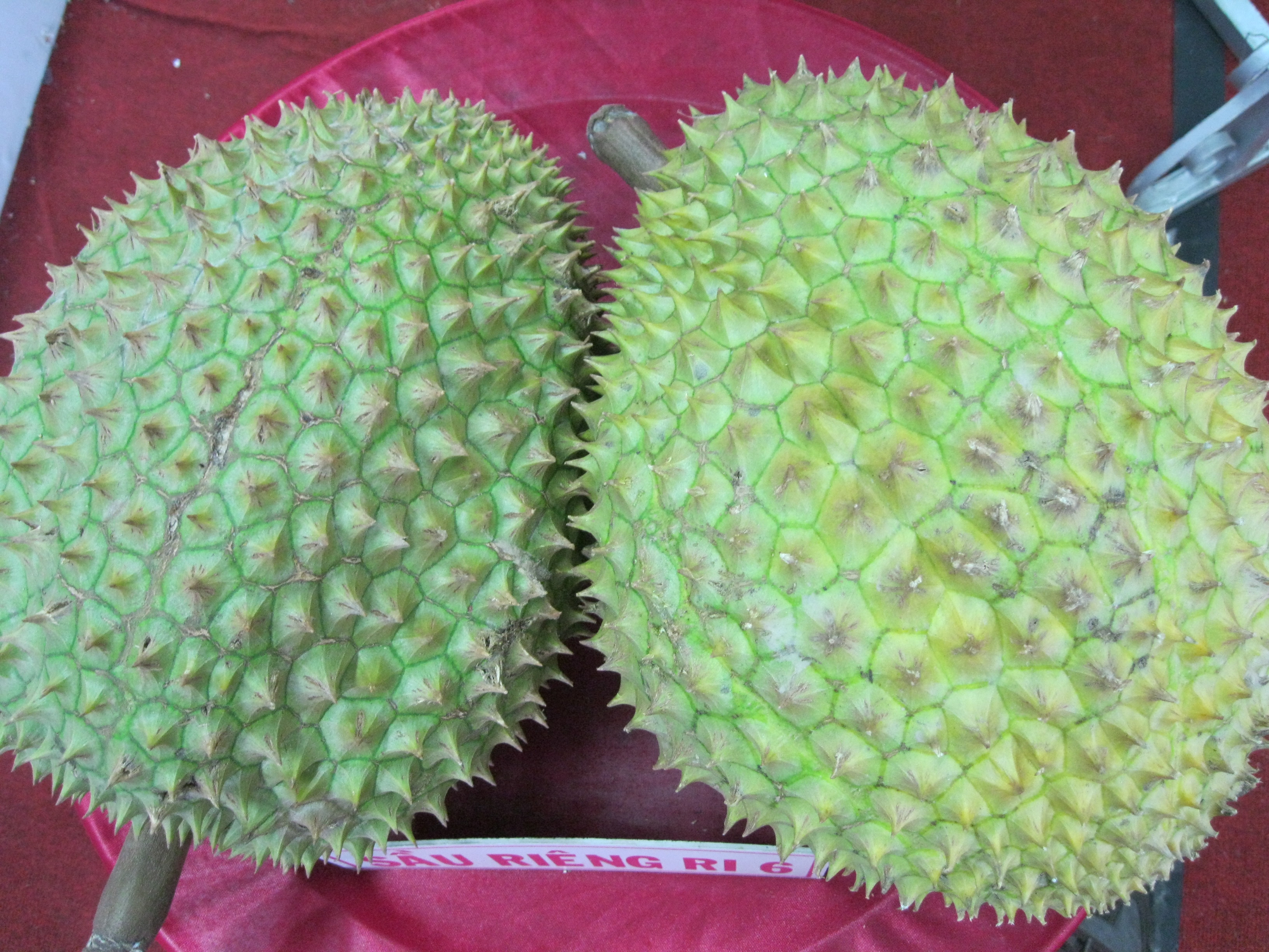 2019 Fresh Durian