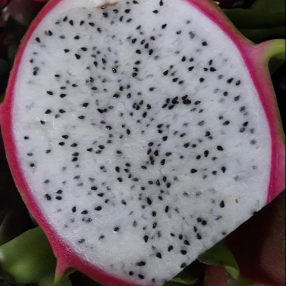 Вьетнам PITAYA Фрукты + 84963818434 whatsapp