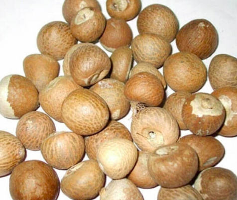 Дешевая цена для оптовой продажи, Betel Nut для продажи