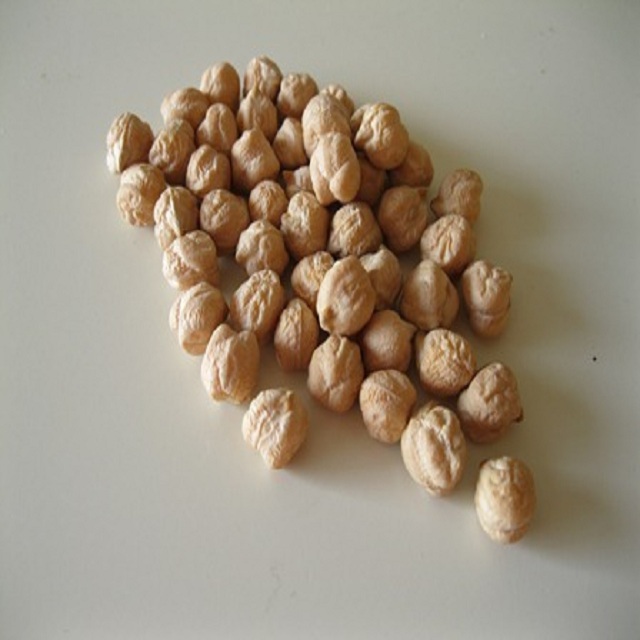 Dry Indian White Chick Peas High Protein / Kabuli Chick Peas For Bulk Wholesale Price
