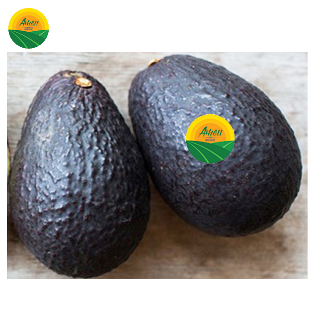 FRESH AVOCADO VIET NAM
