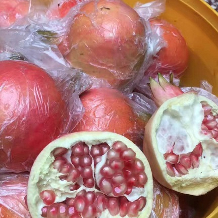 pomegranate