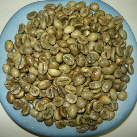 КОФЕ Robusta S13, S16 и S18, оптовая продажа, высокое качество (LEO)