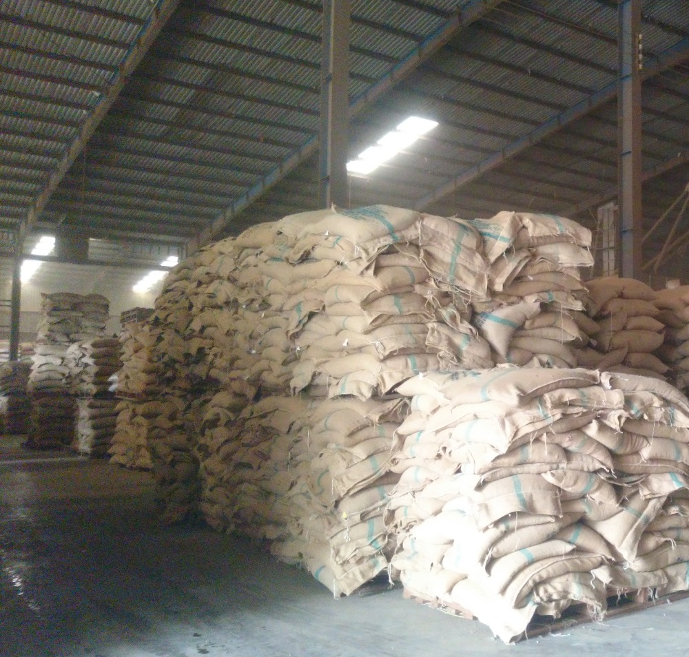 VIETNAM COFFEE BEANS HIGH QUALITY whatsapp (+84).983590908/mobi