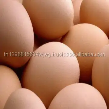 Fresh white/brown chicken eggs