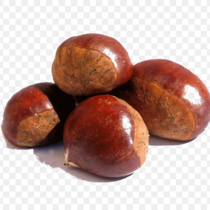 chestnuts for sale on cheapest price