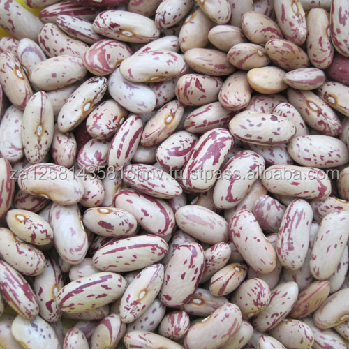 Легкая зернистая фасоль LSKB Pinto bean, размер 200-220 шт., новый урожай, горячая Распродажа