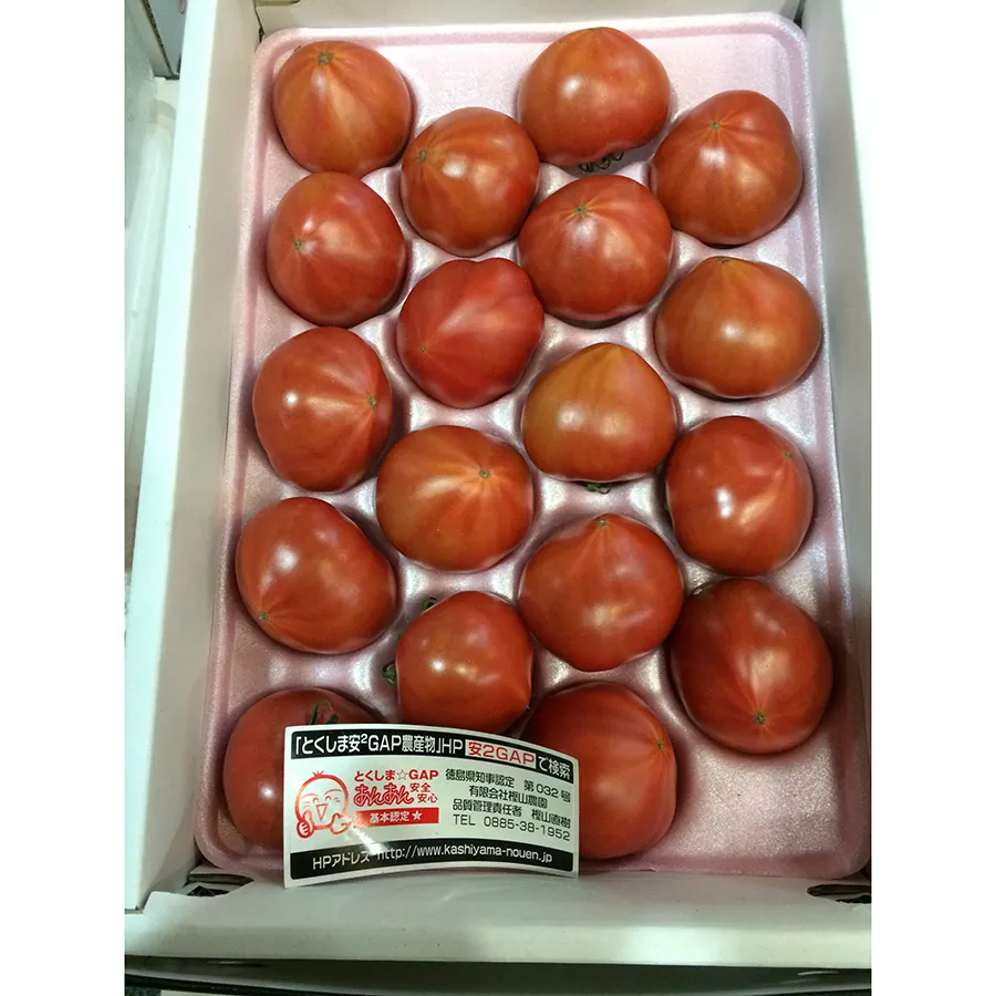 Japanese sweet and sour taste high quality names tomatoes